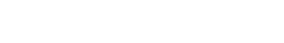 STM Corporate Group