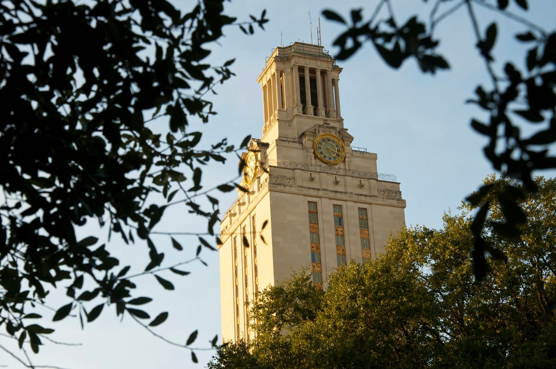 The University of Texas Tower in Austin in evening light, framed by live oak leaves